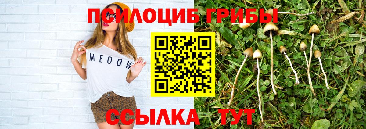 Псилоцибиновые грибы прущие грибы  Сибай 