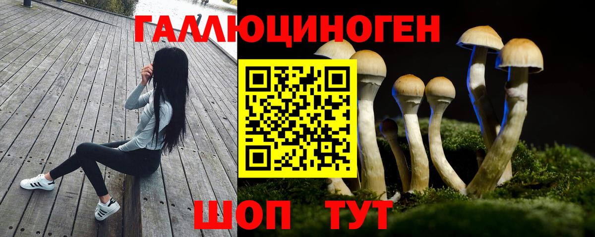 Галлюциногенные грибы Cubensis Сибай