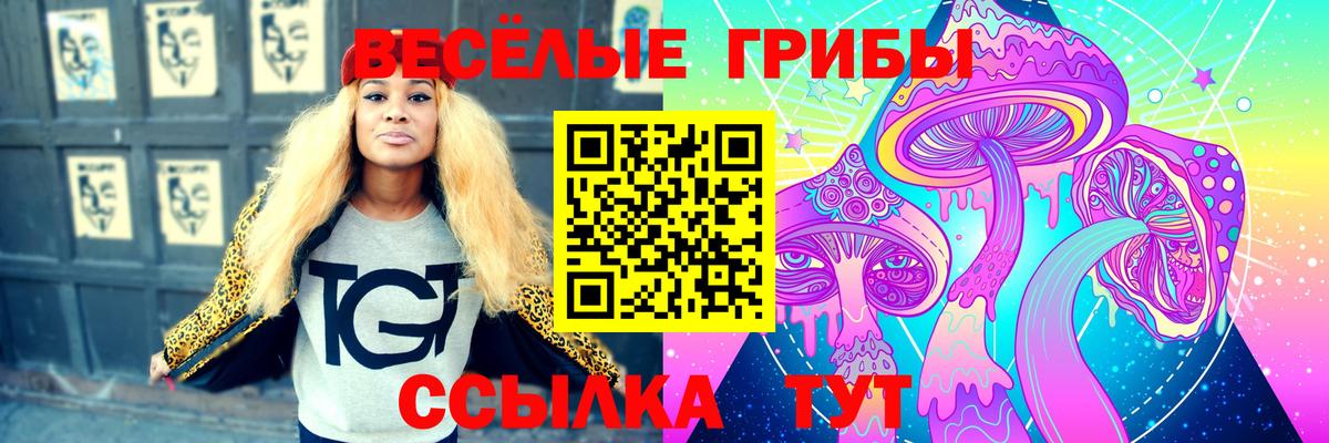 Сибай  Псилоцибиновые грибы Psilocybine cubensis  Псилоцибиновые грибы мухоморы  Вход с VPN 