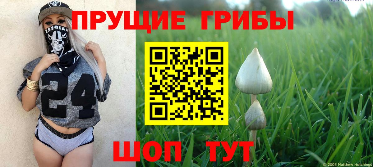 Галлюциногенные грибы мухоморы Сибай